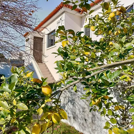 R3 - Moradia Villa Ílhavo