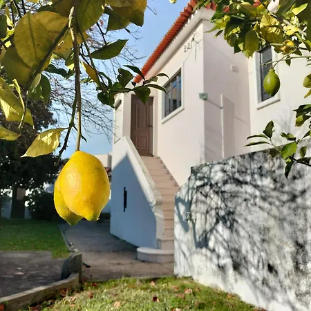 Villa R3 - Moradia Ílhavo