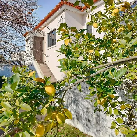 R3 - Moradia Villa Ílhavo